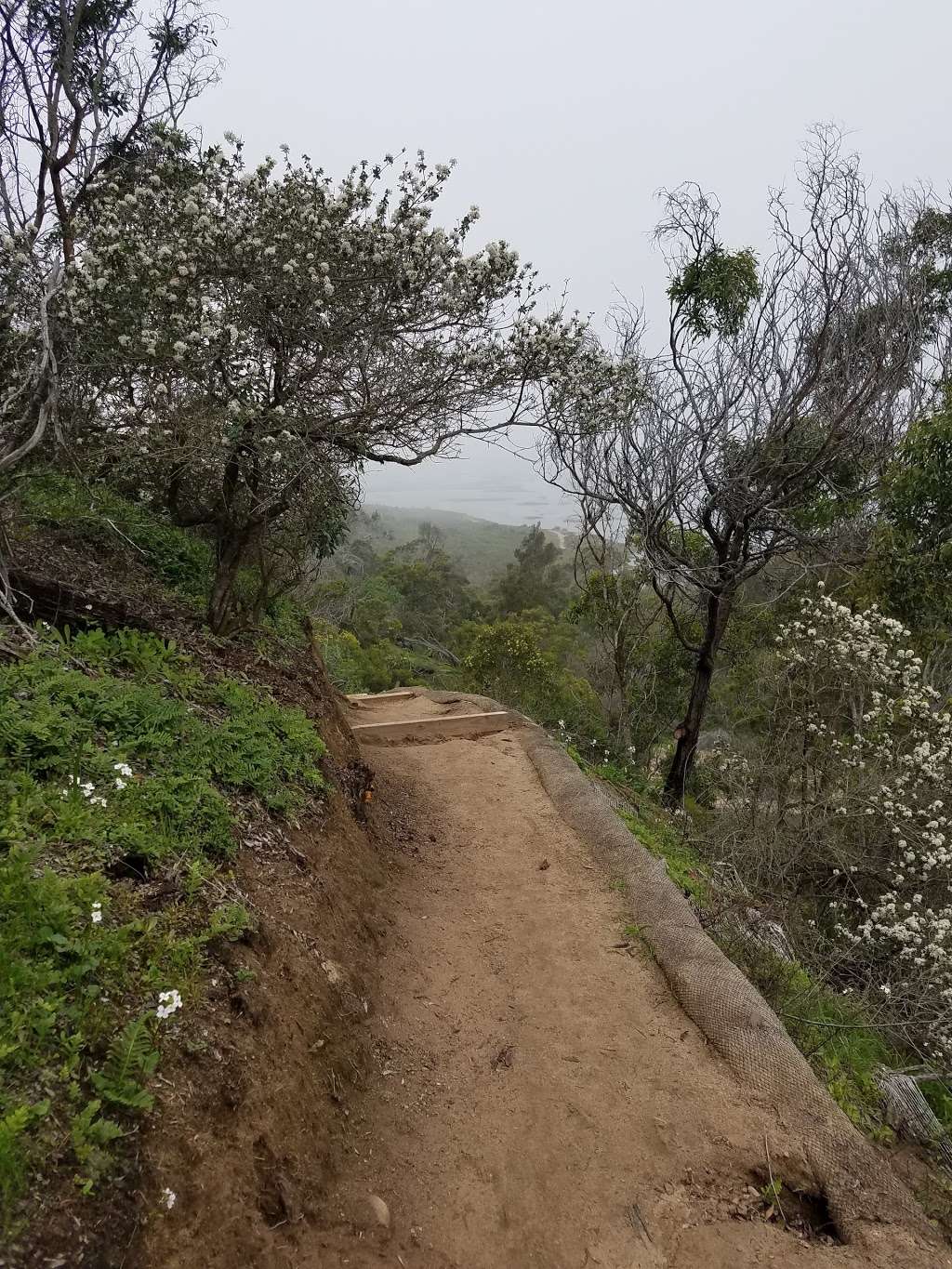 Annies Canyon Trail | Solana Hills Trail, Solana Beach, CA 92075, USA | Phone: (760) 436-3944