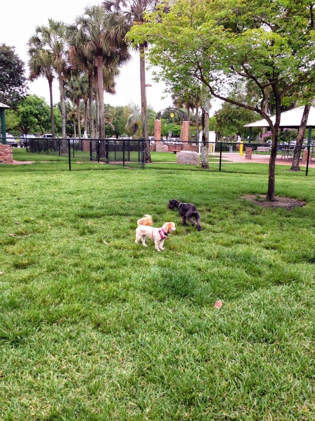 Happy Tails dog Park | 6600 SW 16th St, Plantation, FL 33317, USA | Phone: (954) 797-2200