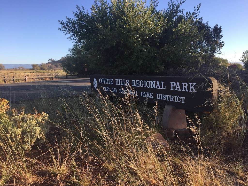 Coyote hill regional park parking lot | Fremont, CA 94555, USA