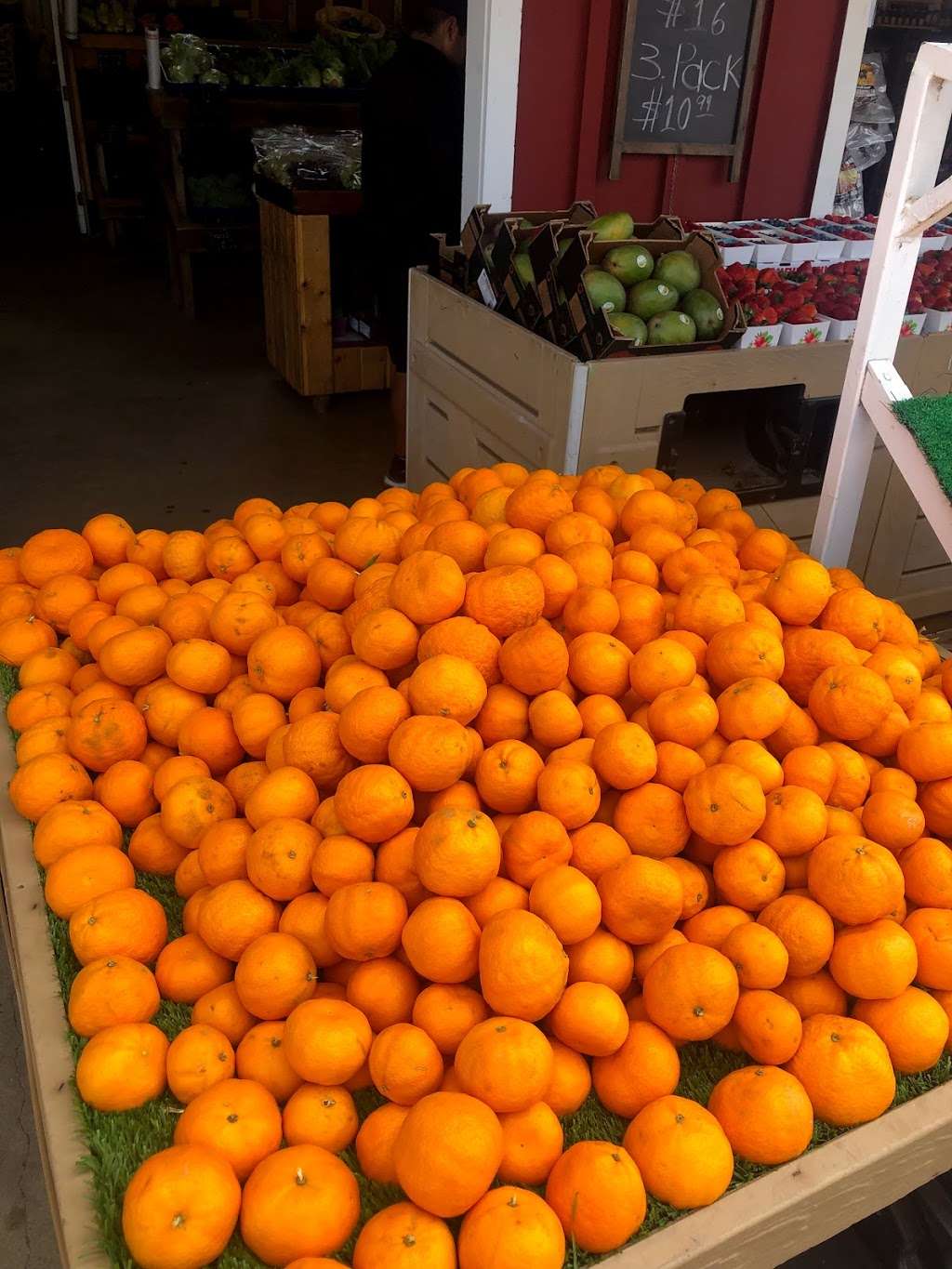 Rodela Produce and Flowers | 4550 Olivas Park Dr, Ventura, CA 93003, USA | Phone: (805) 844-9174