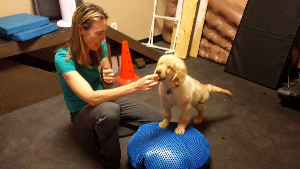 Arizona Veterinary Physical Rehabilitation | 19313 N 73rd Ln, Glendale, AZ 85308, USA | Phone: (480) 285-9848