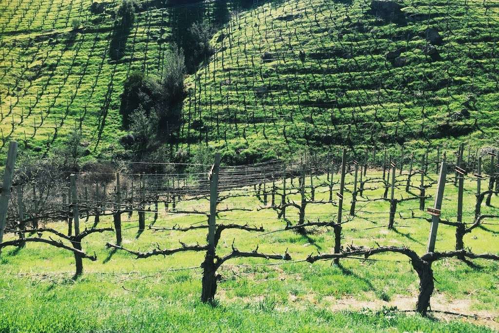Malibu Wine Hikes | 32111 Mulholland Hwy, Malibu, CA 90265, USA | Phone: (424) 346-0041