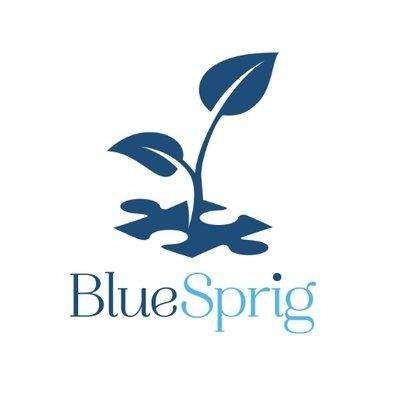 BlueSprig | 2515 Superior Rd, Magnolia, TX 77354 | Phone: (346) 225-7988