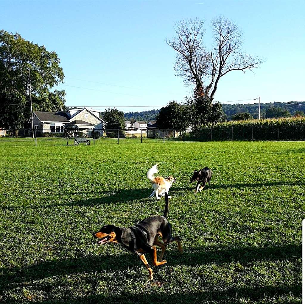 Awesome Dog Park | Hoch Rd, Fleetwood, PA 19522, USA