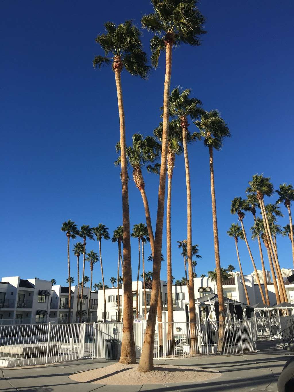 Serene, a Vegas Resort | 455 E Harmon Ave, Las Vegas, NV 89169, USA | Phone: (702) 369-2281