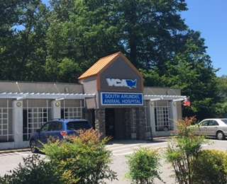 VCA South Arundel Animal Hospital | 85 W Central Ave, Edgewater, MD 21037, USA | Phone: (410) 956-2932