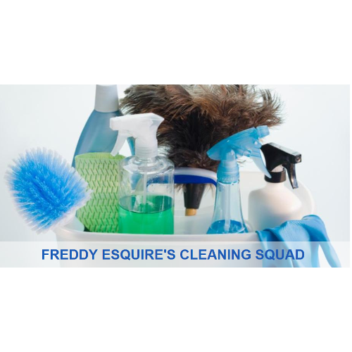 FREDDY ESQUIRES CLEANING SQUAD | 118 Stoddert Ave, Waldorf, MD 20602, USA | Phone: (240) 616-5612