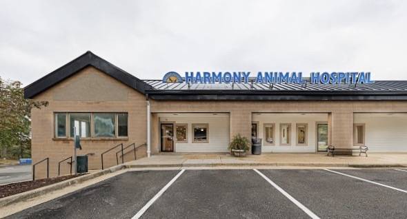 Harmony Animal Hospital | 6940 S Kings Hwy #208, Alexandria, VA 22310, USA | Phone: (703) 643-9797
