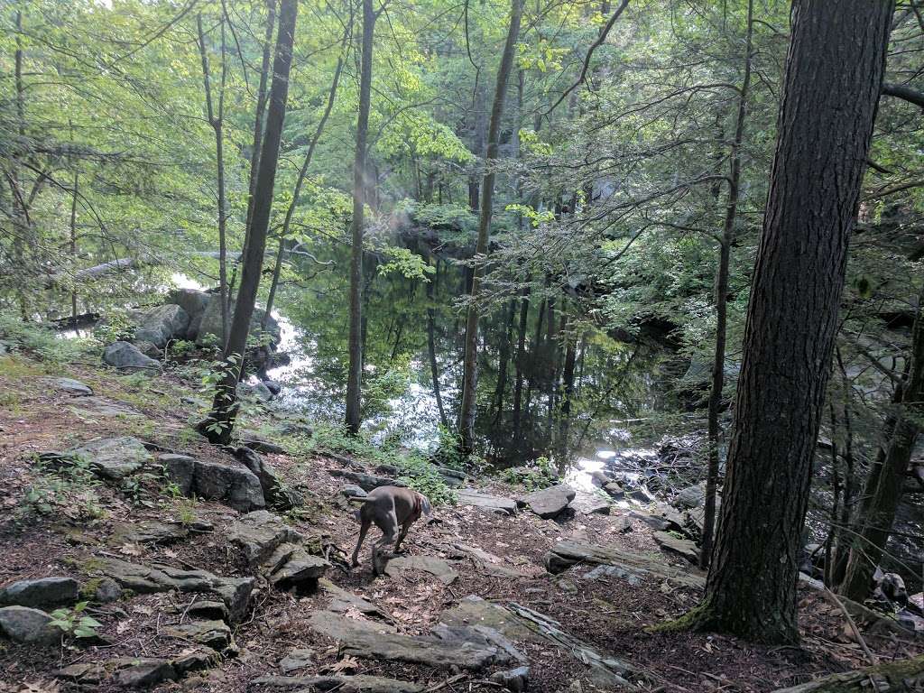 Appalachian Trail | Orange Turnpike, Southfields, NY 10975, USA