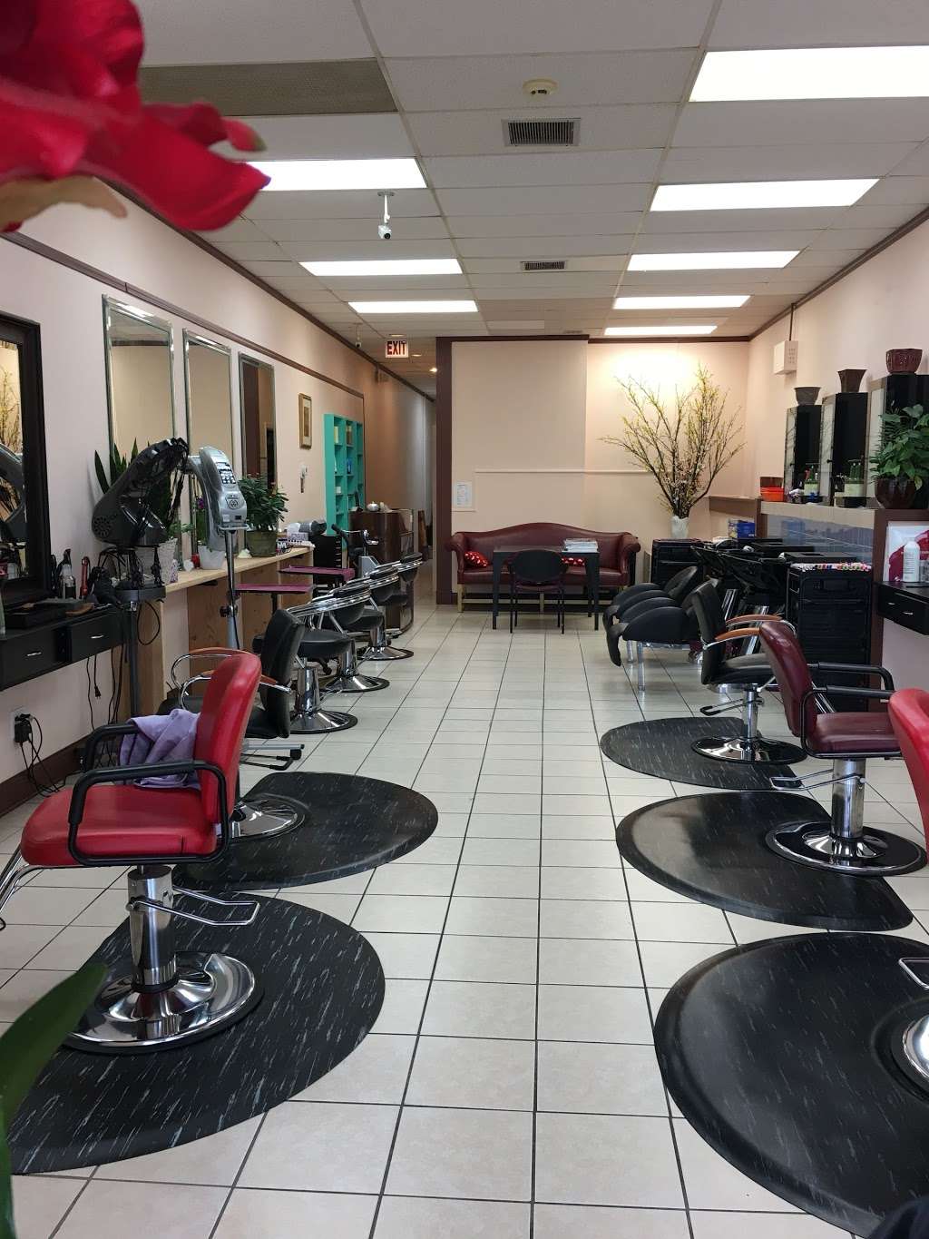 Shana Hair Salon | 1710 Milwaukee Ave, Glenview, IL 60026, USA | Phone: (224) 577-8282