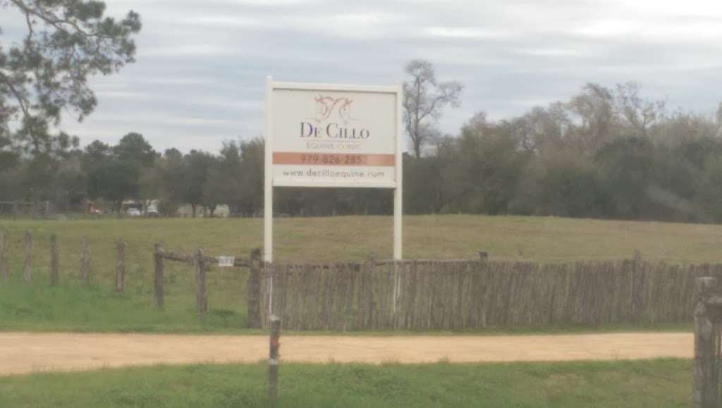 De Cillo Equine Clinic | 22127 Gratehouse Ln, Hempstead, TX 77445, USA | Phone: (979) 826-2852