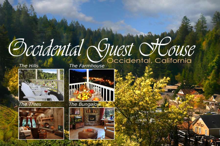 Occidental Guesthouse | 14750 Occidental Rd, Occidental, CA 95465, USA | Phone: (707) 874-3390