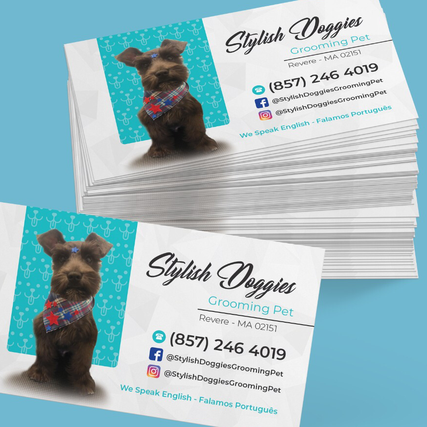 Stlylish Doggies Pet Grooming | 83 Ward St, Revere, MA 02151, USA | Phone: (857) 246-4019