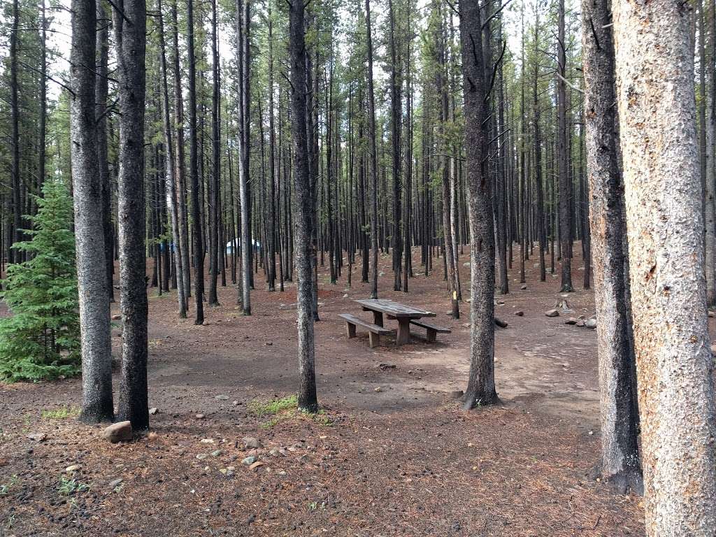 Geneva Park Campground | U.S. 285,, Dillon, CO 80435, USA | Phone: (303) 275-5610