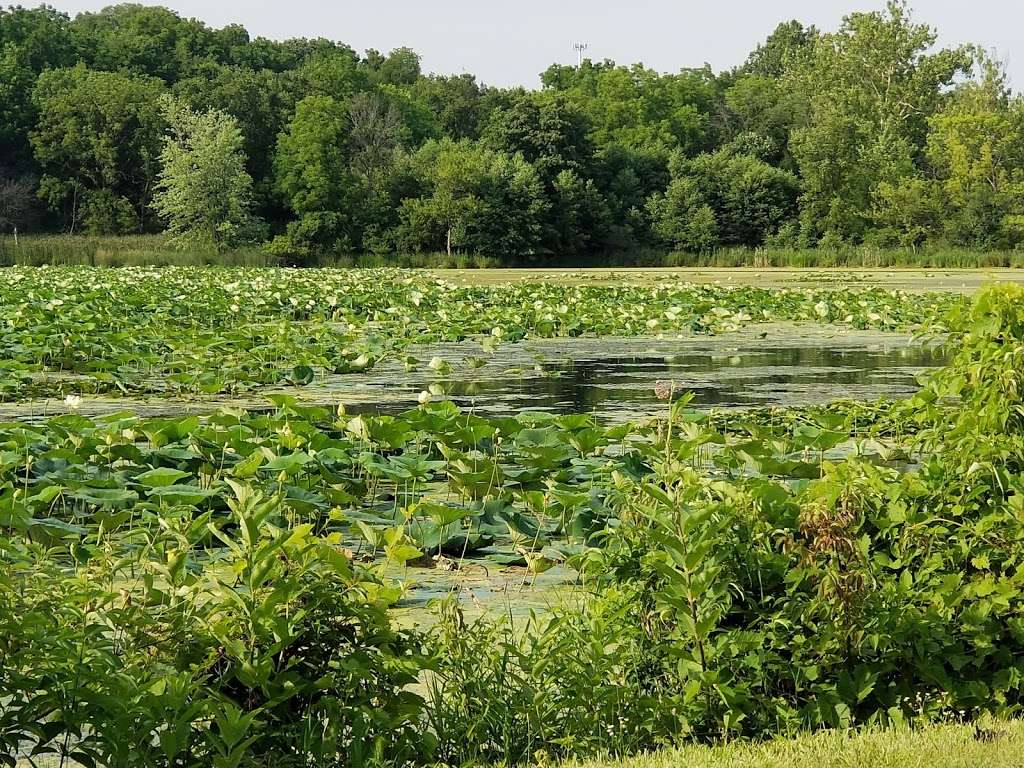 Des Plaines Dolomite Prairies Land And Water Reserve | 24621 N River Rd, Wilmington, IL 60481, USA | Phone: (815) 423-5326