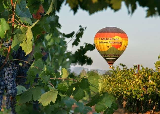 A Grape Escape Balloon Adventure | 33475 La Serena Way, Temecula, CA 92591, USA | Phone: (951) 699-9987