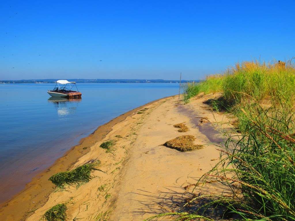 Susquehanna National Wildlife Refuge | 2145 Key Wallace Dr, Cambridge, MD 21613, USA | Phone: (410) 228-2692