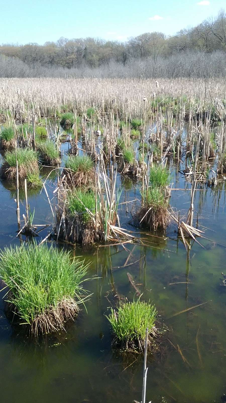 John Margis JR Wildlife Area | 7401 Fish Hatchery Rd, Burlington, WI 53105