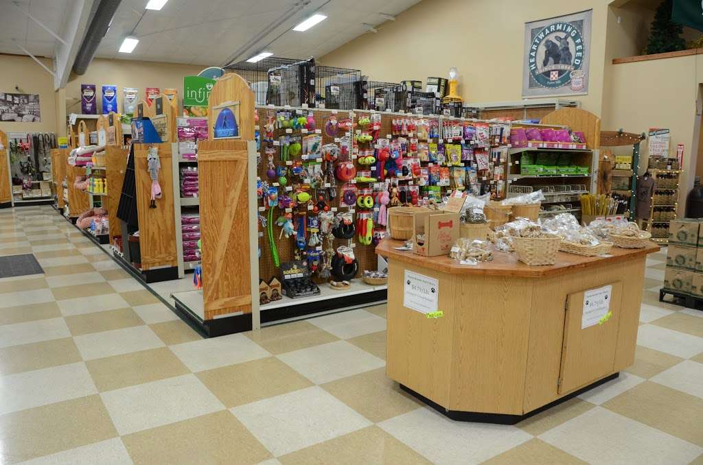 Main Street Country Store | 320 S Main St, Walworth, WI 53184, USA | Phone: (262) 275-0620