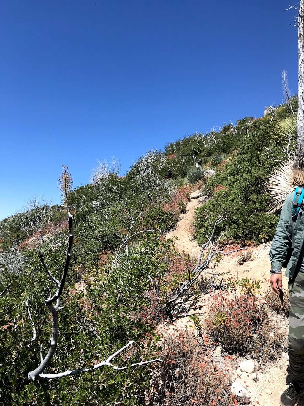 Strawberry peak west ridge trail | Colby Cyn Trail, Palmdale, CA 93550, USA