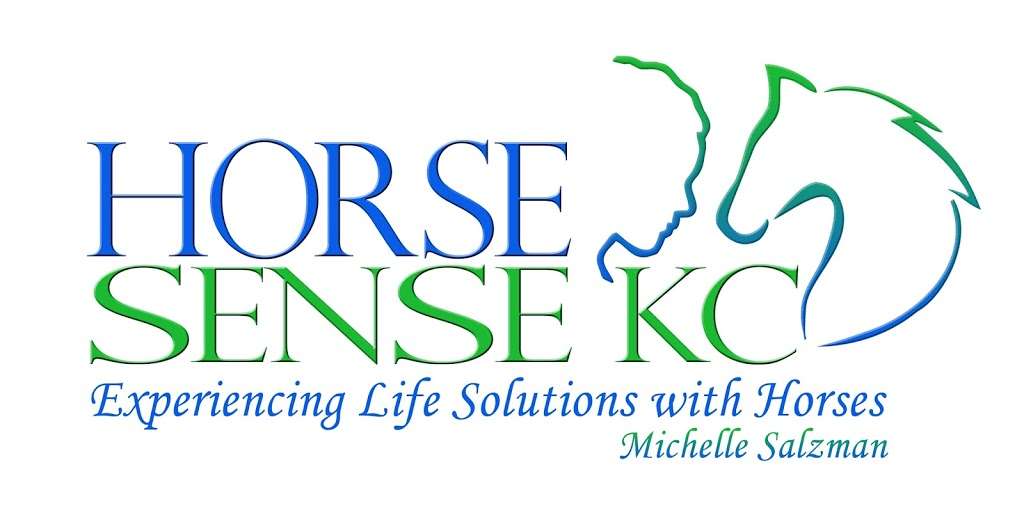 Horse Sense KC | 14110 Woodward St, Overland Park, KS 66223, USA | Phone: (913) 221-3054