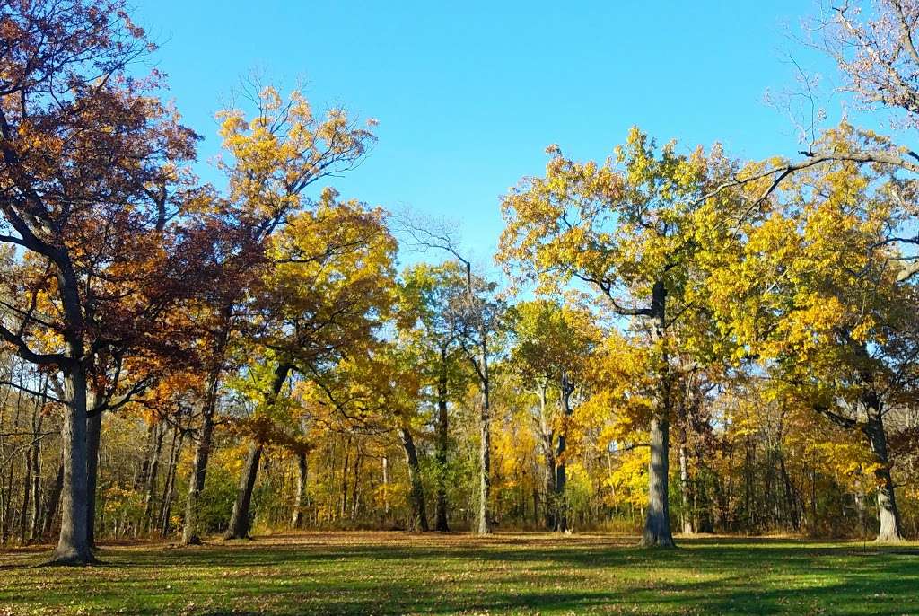 Forest Preserves of Cook County | 721 Harms Rd, Glenview, IL 60025 | Phone: (800) 870-3666