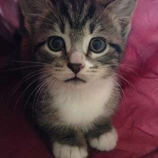 Integrative Mind Body Therapy | 7810 Pineville-Matthews Rd #7, Charlotte, NC 28226, USA | Phone: (704) 771-6251 Integrative Mind Body Therapy | 7810 Pineville-Matthews Rd #7, Charlotte, NC 28226, USA | Phone: (704) 771-6251