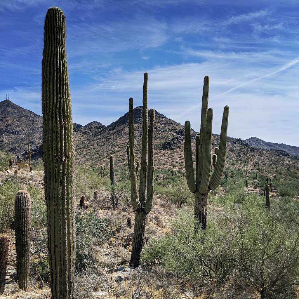 Gateway Trailhead - McDowell Sonoran Preserve | 18333 N Thompson Peak Pkwy, Scottsdale, AZ 85255, USA | Phone: (480) 998-7971