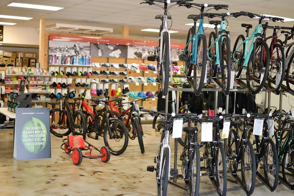 Davids World Cycle | 2125 Florida Ave S, Lakeland, FL 33803, USA | Phone: (863) 682-7160