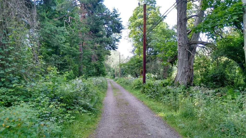 Prouty Woods Community Forest | Wilderness Rd, Littleton, MA 01460, USA | Phone: (978) 952-6856