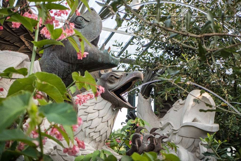 Conservatory | 19348,, Kennett Square, PA 19348, USA