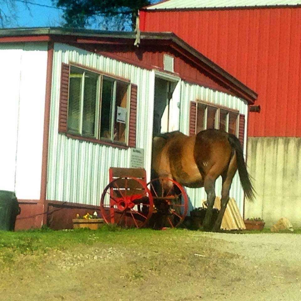 Sunset Trails Stables | 2100 SE Ranson Rd, Lees Summit, MO 64082 | Phone: (816) 554-7699