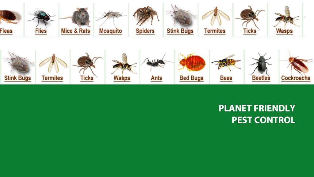 Royal Pest Solutions | 981 S Bolmar St, West Chester, PA 19382 | Phone: (610) 918-6241