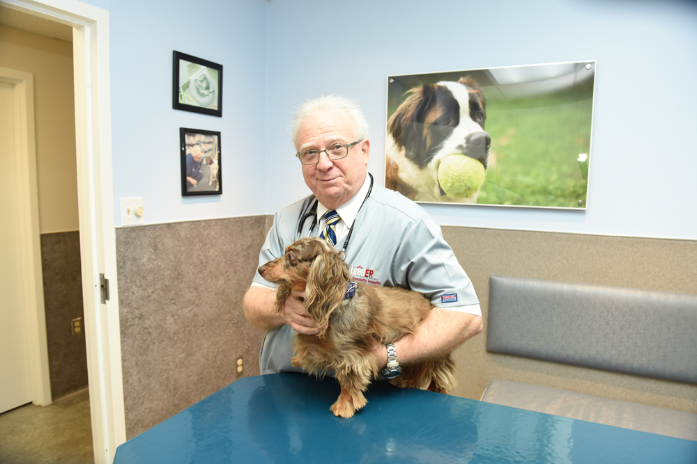 Animal Medical Center Cooper City | 9410 A Stirling Road, A, Hollywood, FL 33024, USA | Phone: (954) 432-5611