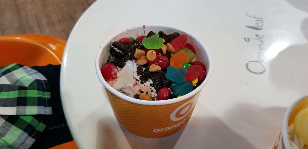 Orange Leaf Frozen Yogurt | 5123 Garth Rd, Baytown, TX 77521, USA | Phone: (281) 837-7569