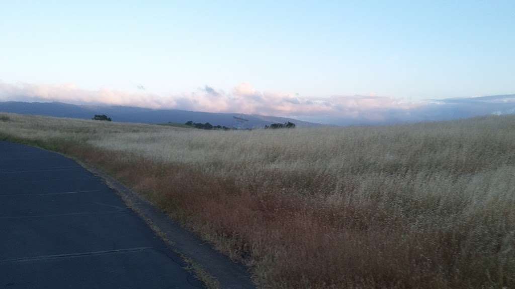 Wallace Stegner Pathway | 3 Forks Ln, Los Altos Hills, CA 94022, USA