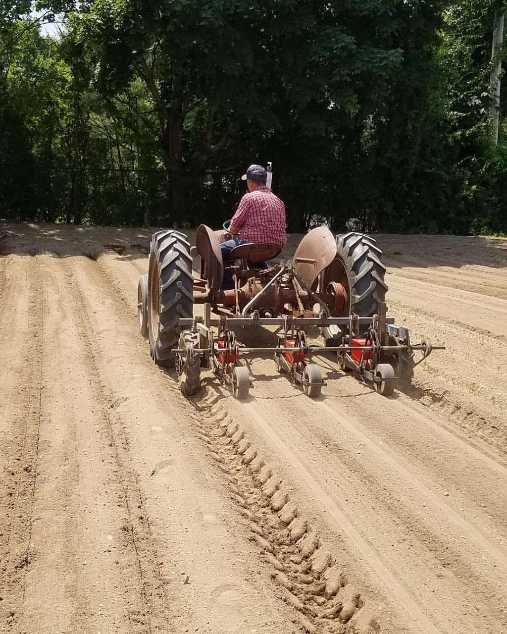 Schneiders Farm | 316 Old Country Rd, Melville, NY 11747, USA | Phone: (631) 673-5844