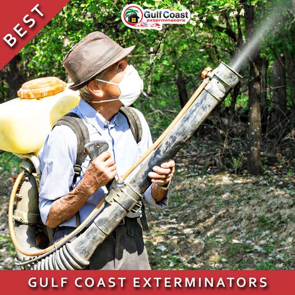 Pest Control The Woodlands Gulf Coast Exterminators | 3600 Fm 1488 Rd Ste 120 #129, Conroe, TX 77384, USA | Phone: (281) 348-5220