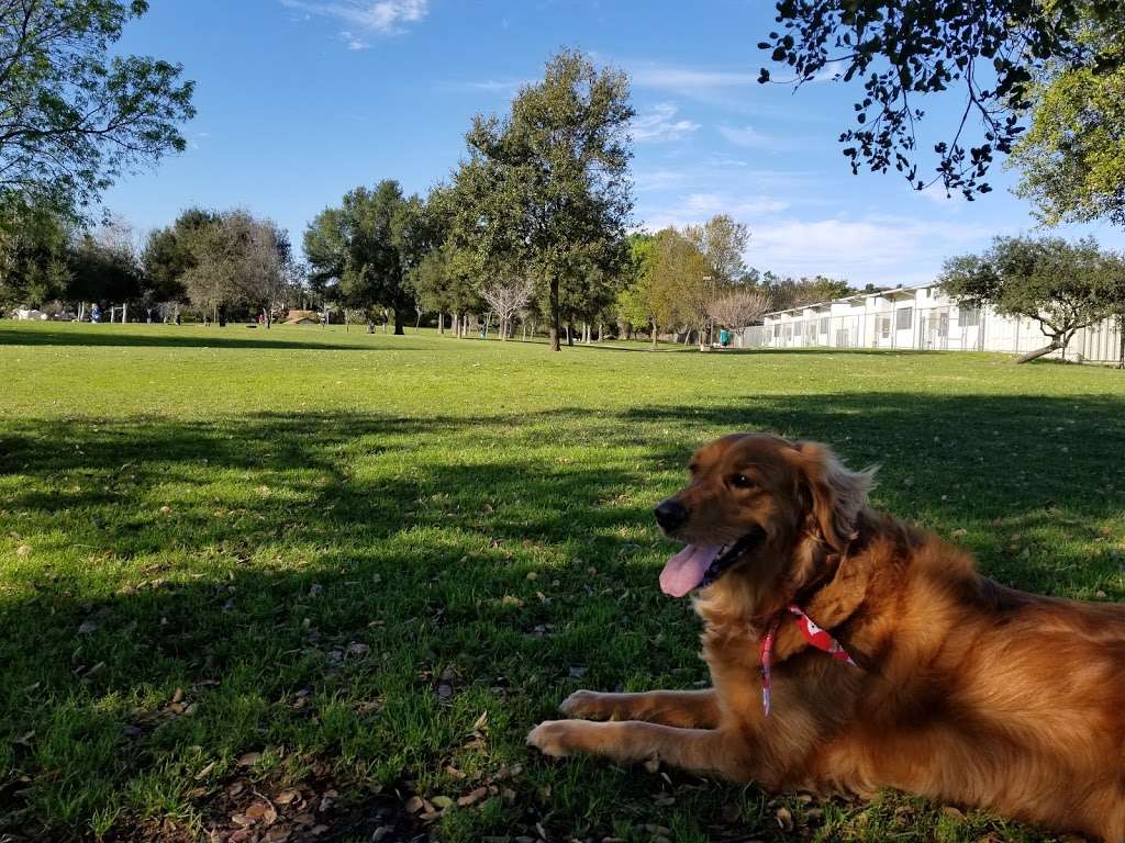 Mission Oaks Dog Park | 5590-5686 Fieldcrest Dr, Camarillo, CA 93012, USA