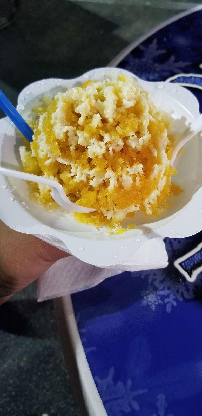 Freeze Your Brain Shave Ice | 5805 W Irlo Bronson Memorial Hwy, Kissimmee, FL 34746, USA | Phone: (805) 270-5878