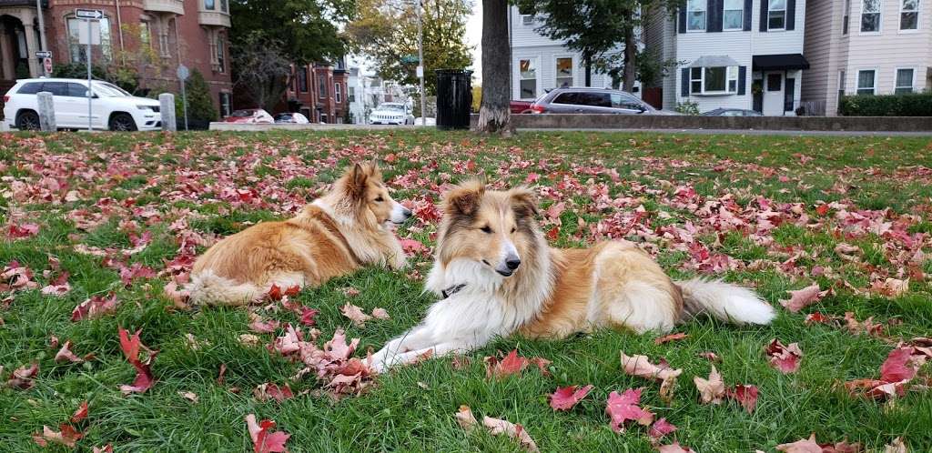 Medal of Honor Park | 775 E 1st St, Boston, MA 02127, USA | Phone: (617) 635-4505