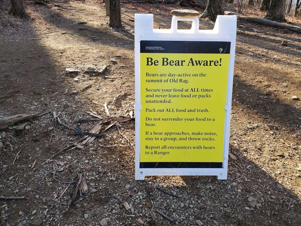 Old Rag Circuit Hike | Nethers Rd, Etlan, VA 22719, USA | Phone: (540) 999-3500