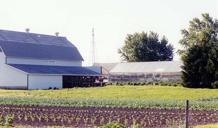 Theis Farm Market | 6N953 County Line Rd, Maple Park, IL 60151, USA | Phone: (815) 757-1090