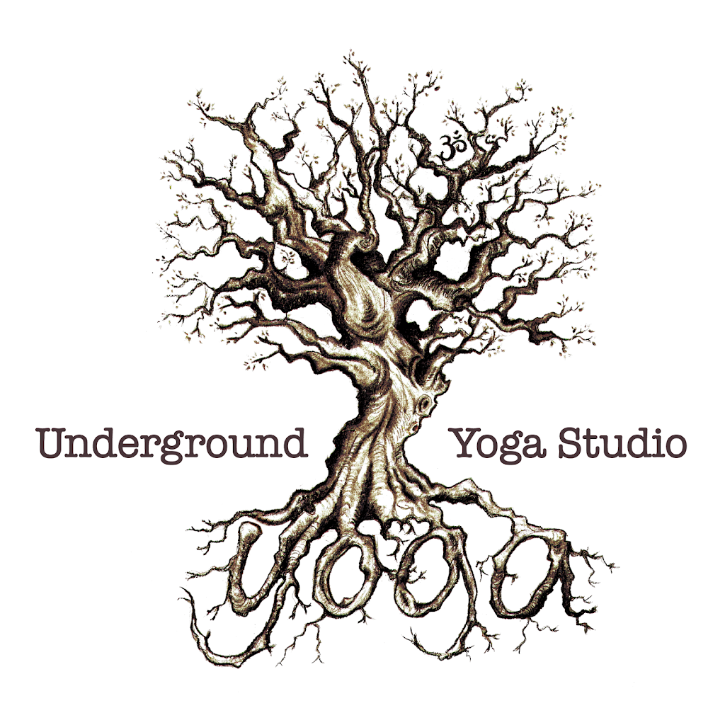 Underground Yoga Studio | 20 Delaware Ave, Delaware Water Gap, PA 18327, USA | Phone: (570) 534-0438