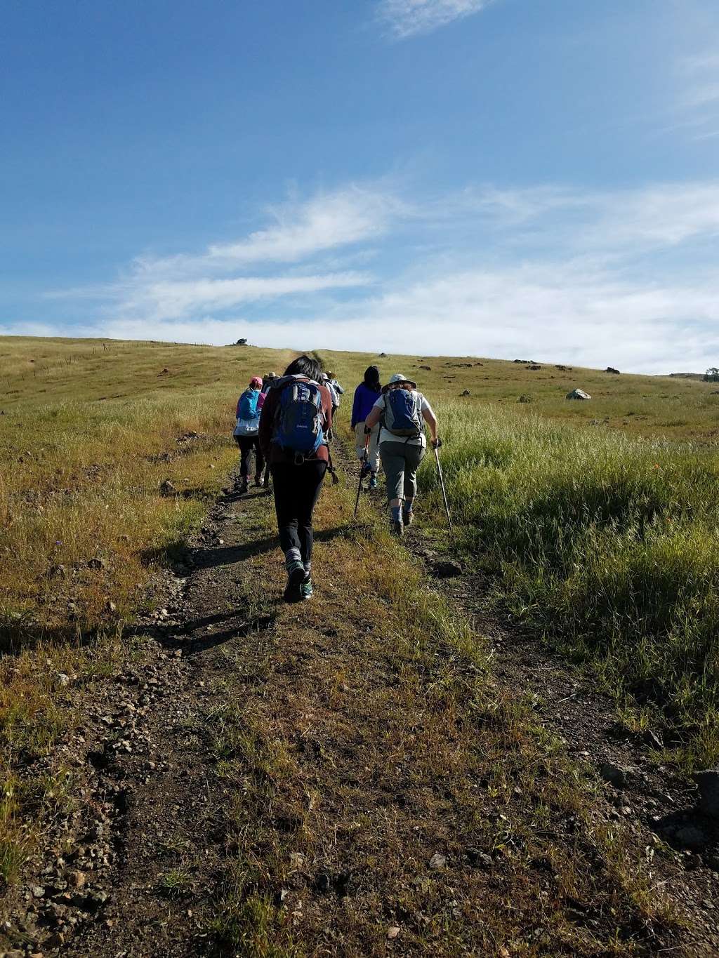 Coyote Ridge Open Space Preserve | 9611 Malech Rd, Morgan Hill, CA 95037, USA