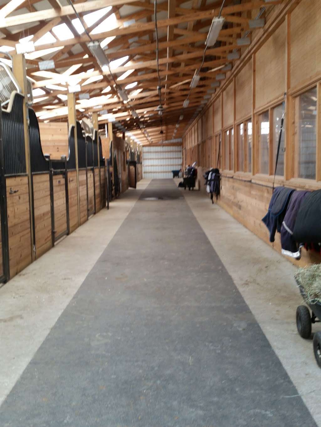 Silver Lining Stables | 38 Carmen Ln, Monroe, CT 06468, USA | Phone: (203) 445-6318