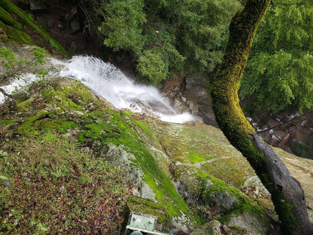 Castle Rock Trail | Castle Rock Trail, Los Gatos, CA 95033