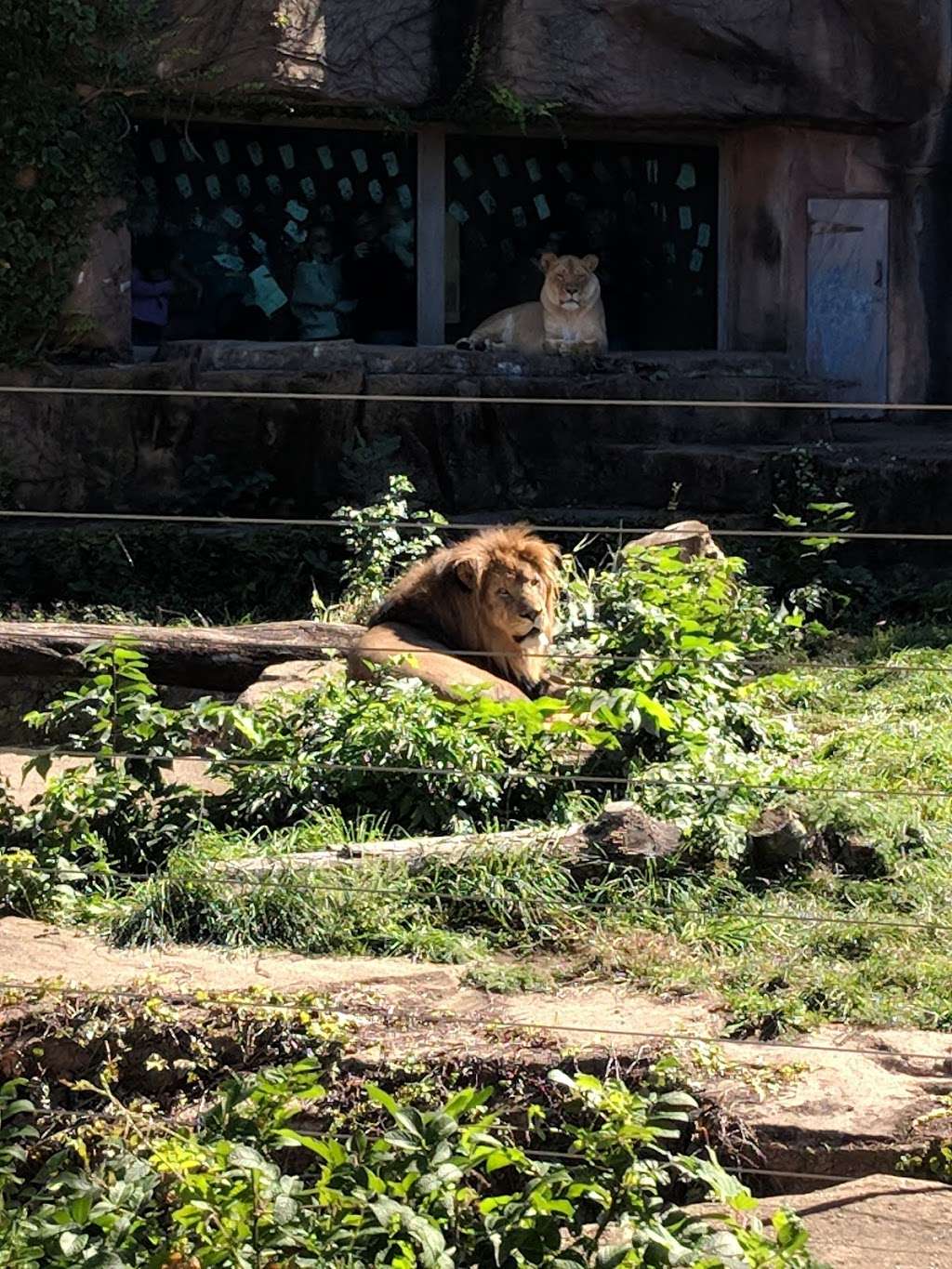 Lincoln Park Zoo Helen Brach Primate House | 2058-2156 N Cannon Dr, Chicago, IL 60614 | Phone: (312) 742-2000