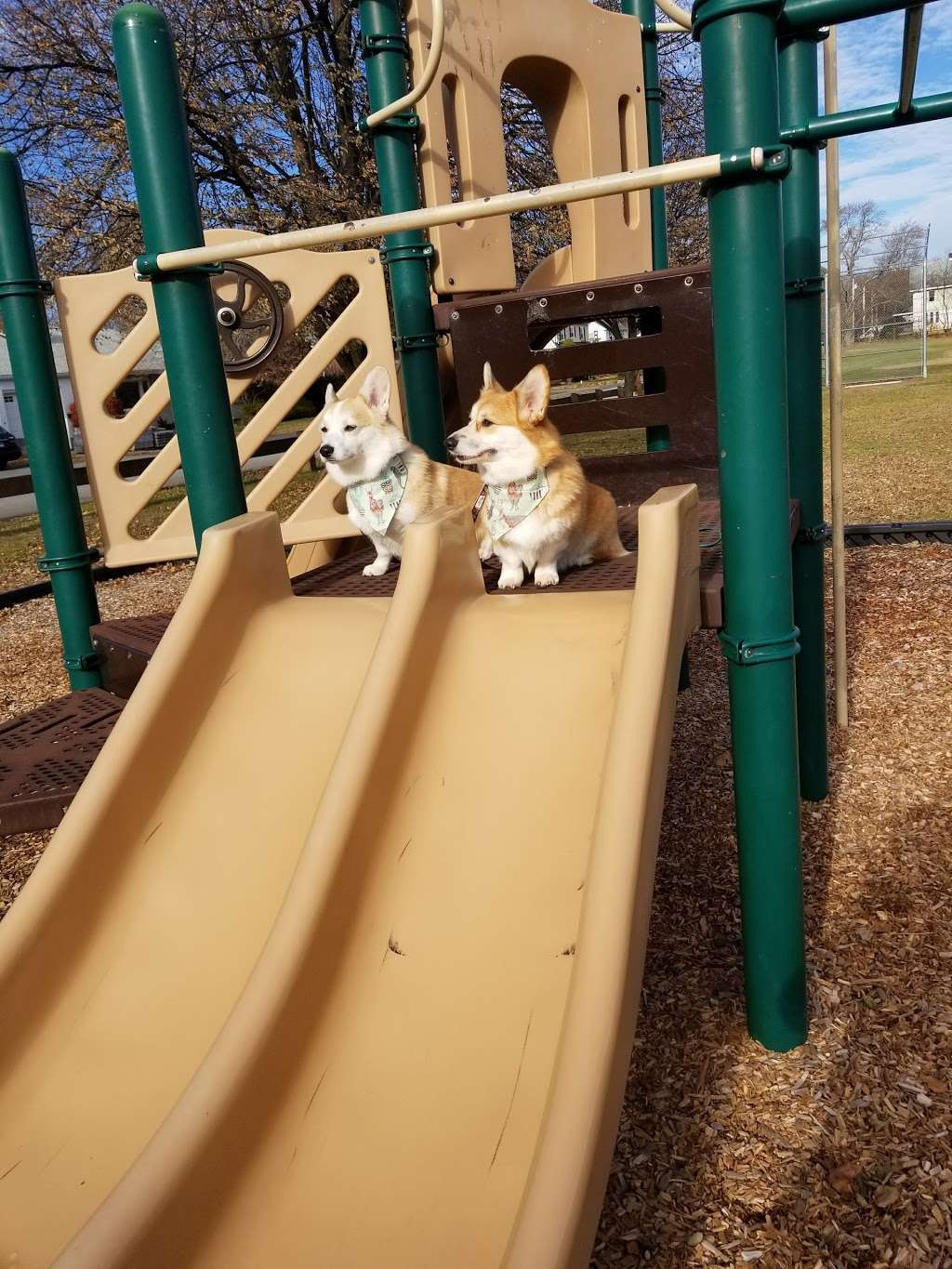 Anna Murphy Playground | Framingham, MA 01702, USA