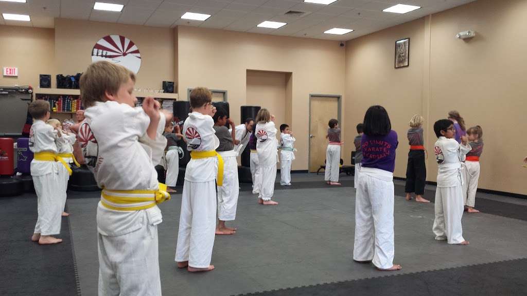 No Limits Karate Academy | 747 W Pinnacle Peak Rd A101, Phoenix, AZ 85027, USA | Phone: (623) 869-6631